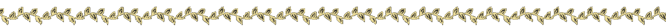 finalTopDivider.png