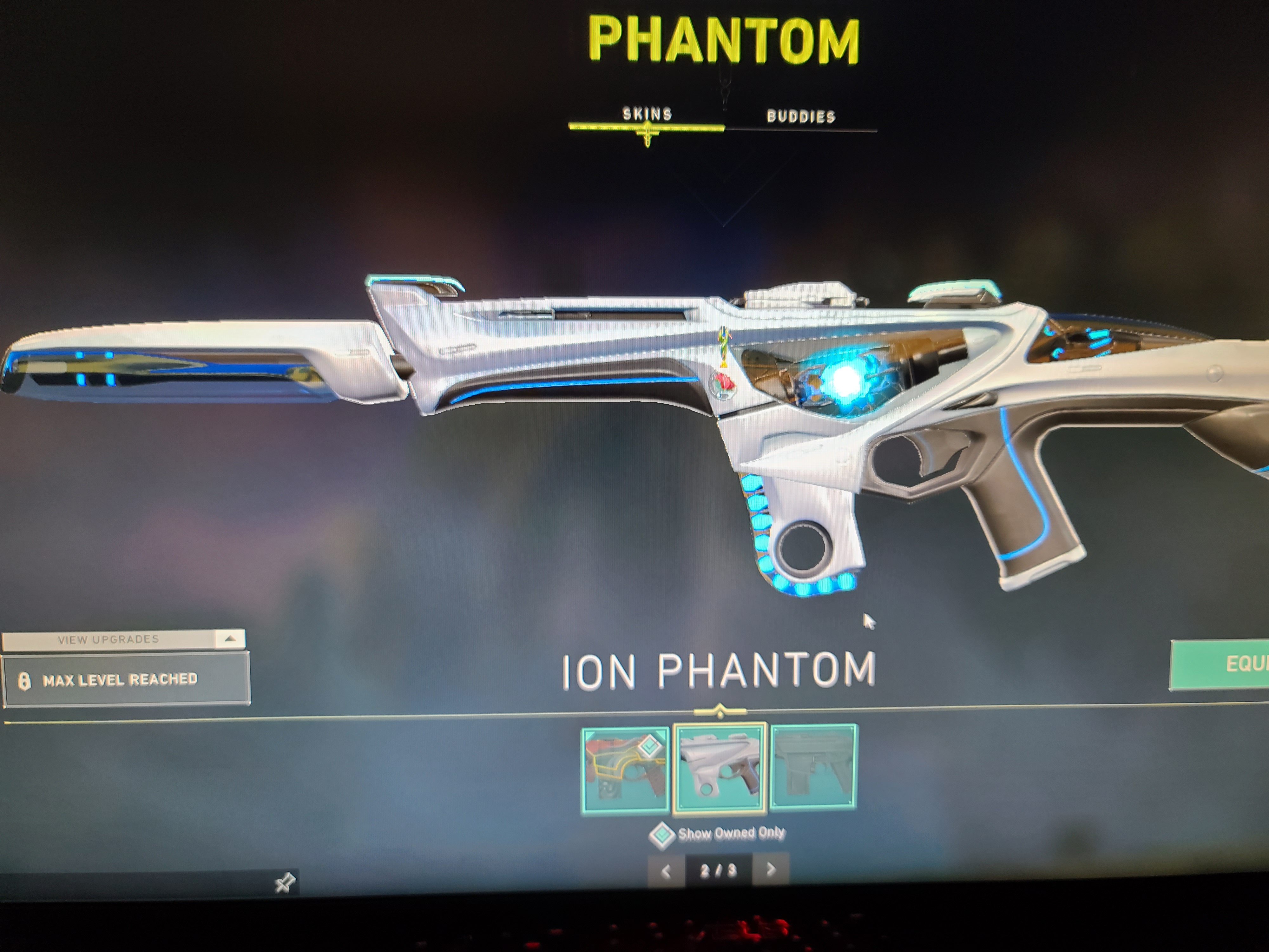 Ion phantom