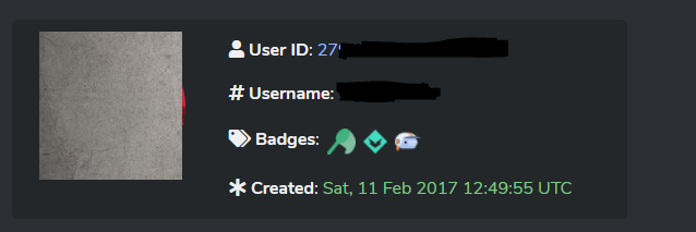 Discord Early Supporter Badge Bug Hunter Badge 17 Account Epicnpc Marketplace