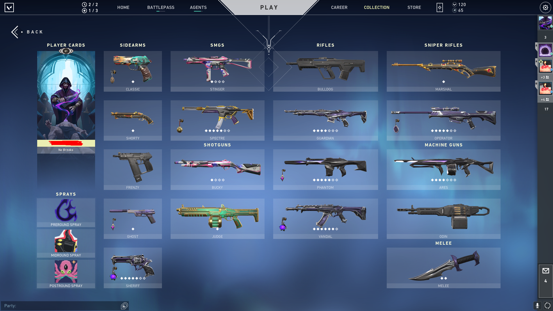 Skin.png Skin.png