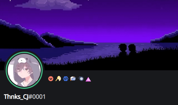 Selling Discord Account With Hypesquad Bug Hunter Bot Dev Early Supporter 50 Epicnpc Marketplace