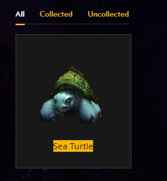 wow (2).jpeg