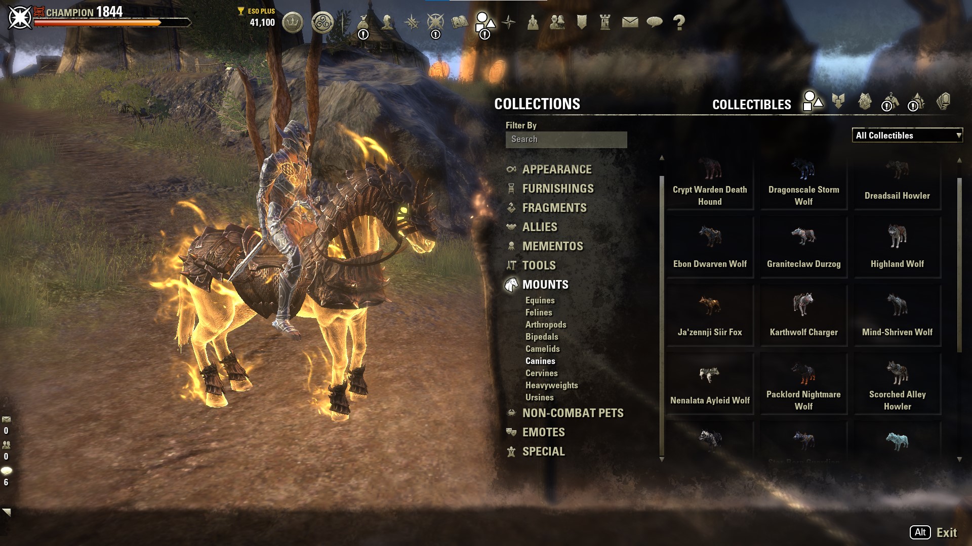 radiant player pc radiant player pc