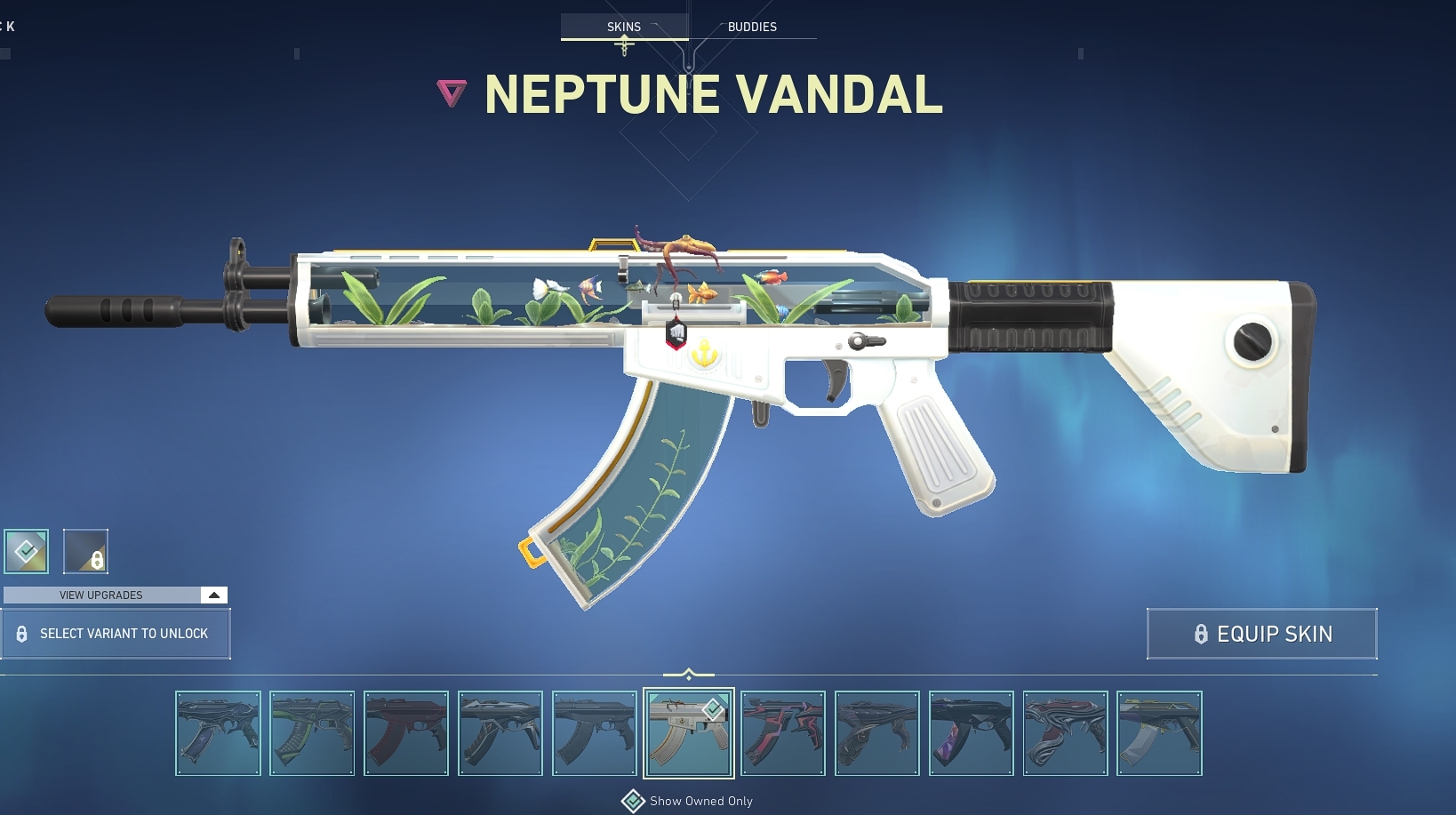 van.jpg