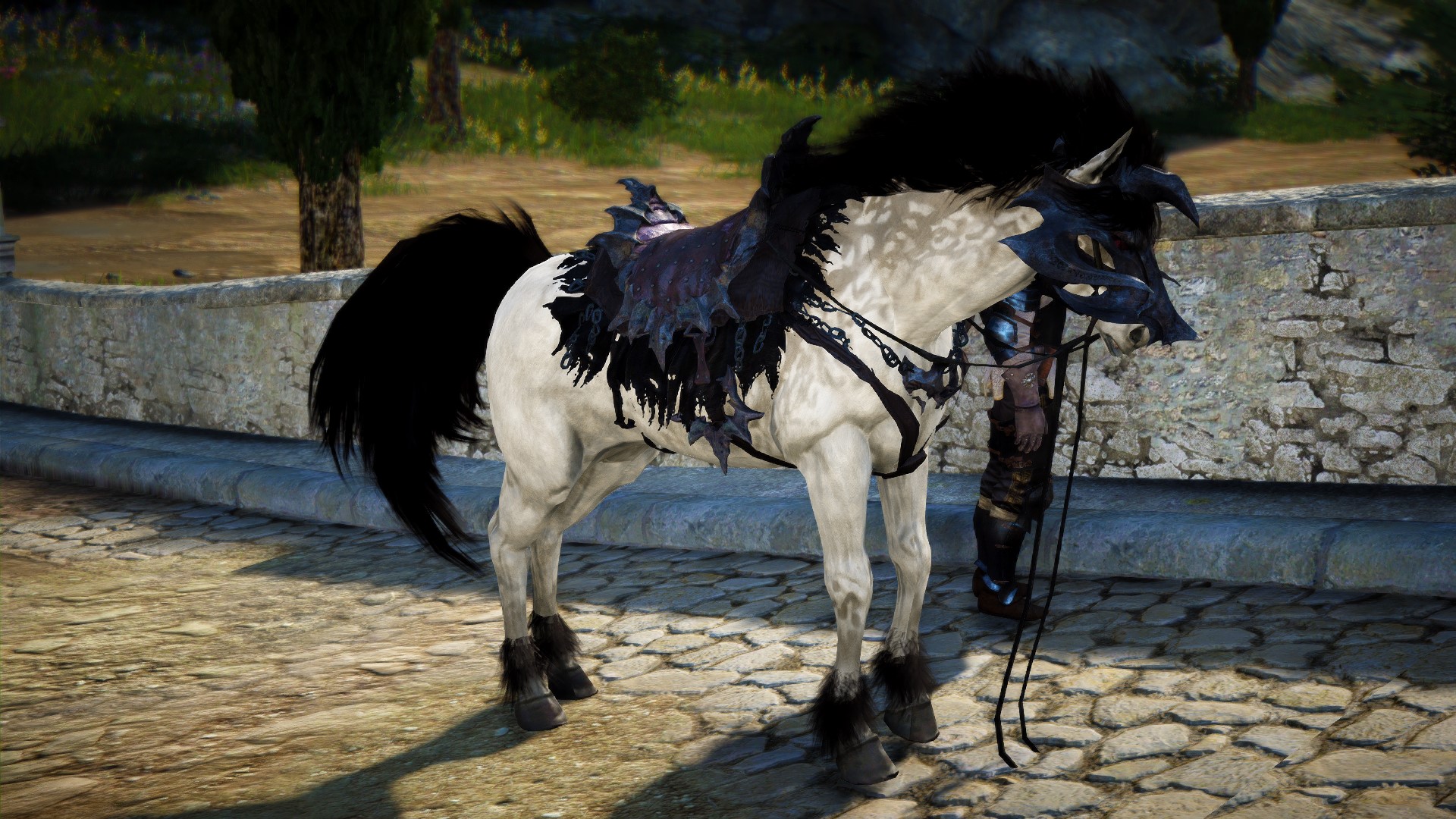 Selling - Black Desert KR 57 Blader 55Ninja/Ranger alts | EpicNPC